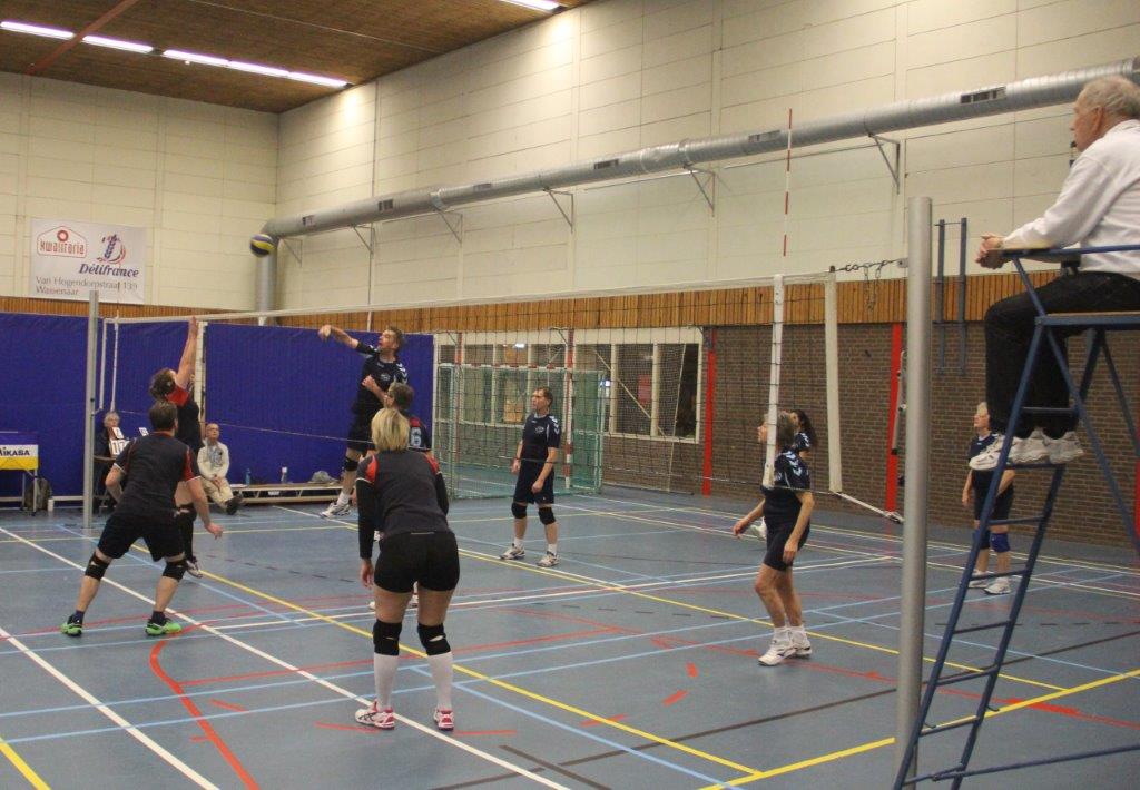 IMG 9954
